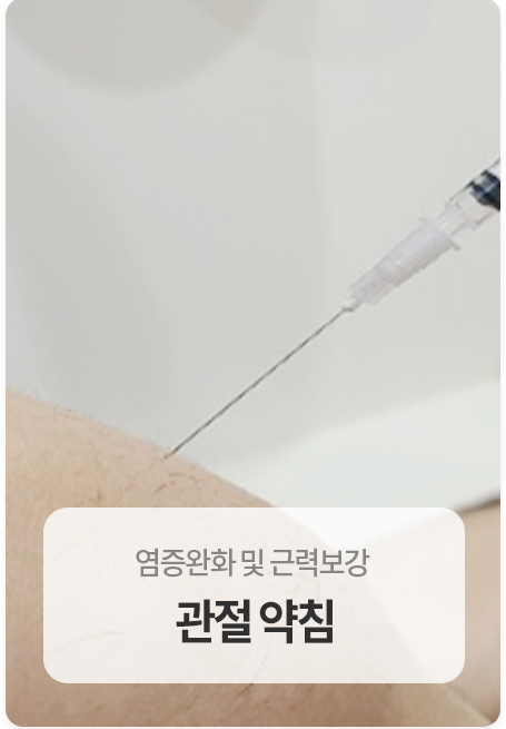 관절약침