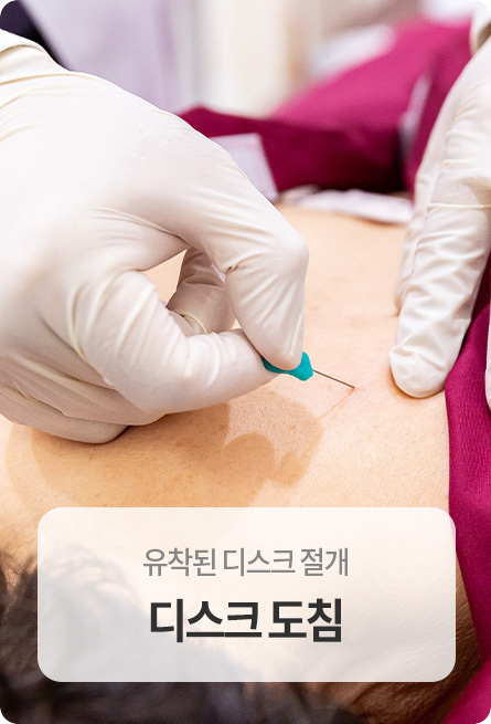 디스크도침